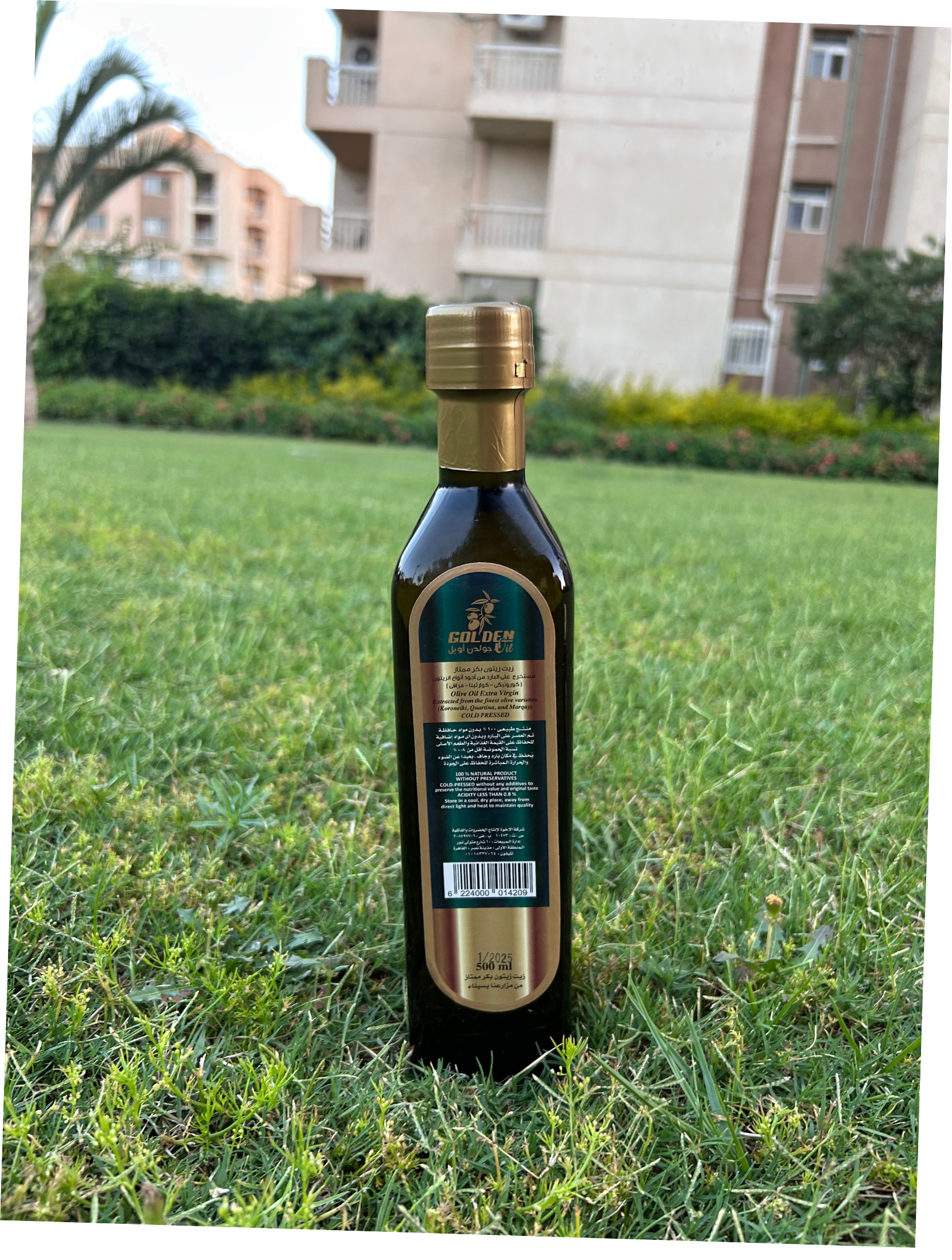 زيت زيتون – نصف لتر